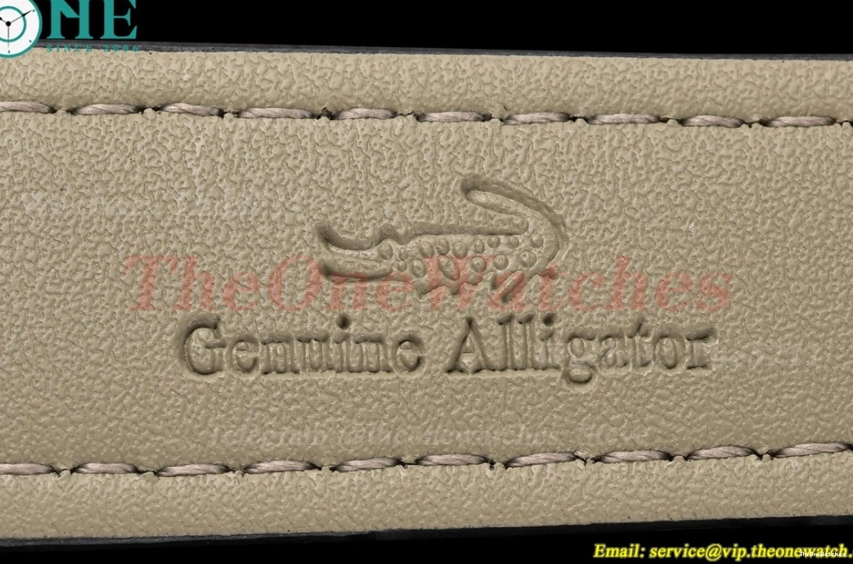 PVD Gradient Seamaster Blue Dial GDF 41mm MY8215 LE 0311